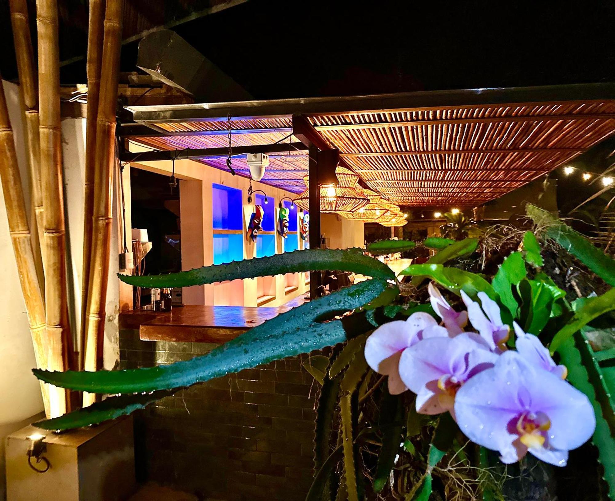 Curiol Boutique Hotel & Lounge Potrero  Exterior photo