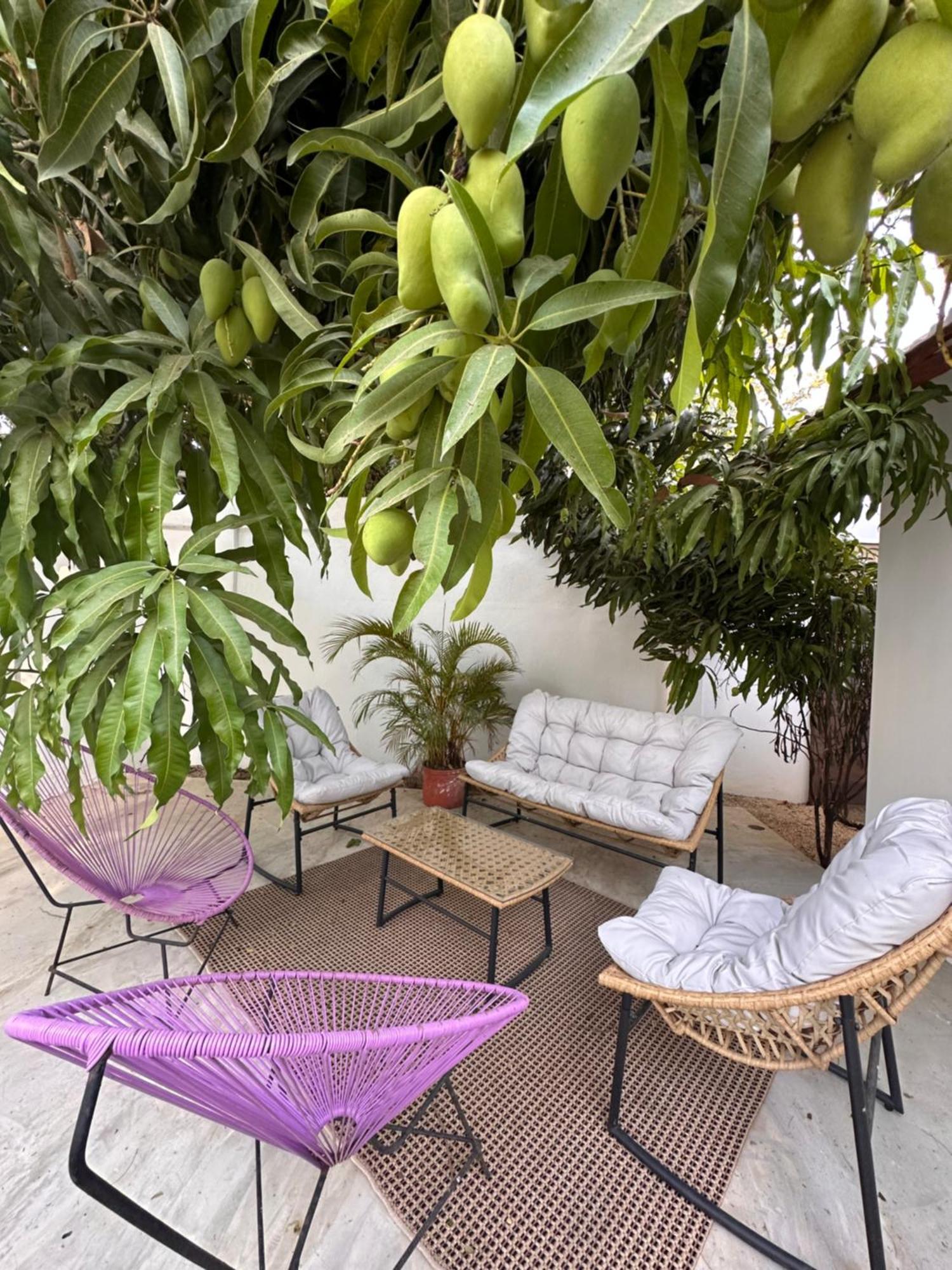 Curiol Boutique Hotel & Lounge Potrero  Exterior photo